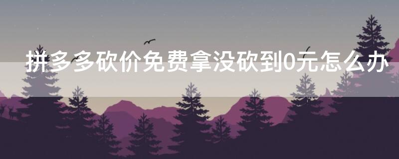 拼多多砍价免费拿没砍到0元怎么办（在拼多多砍价免费拿没有砍完还剩几元钱可以付费吗）