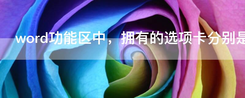 word功能区中，拥有的选项卡分别是 word功能区中,拥有的选项卡分别是哪些