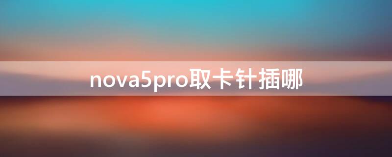 nova5pro取卡针插哪 nova5pro卡针孔位置