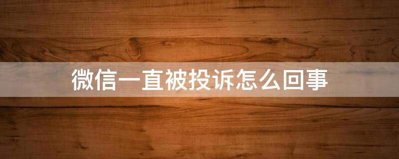 微信一直被投诉怎么回事 微信遭到投诉怎么回事