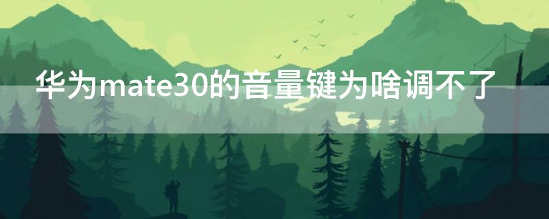 华为mate30的音量键为啥调不了（华为mate30的音量键为啥调不了声音）