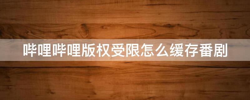 哔哩哔哩版权受限怎么缓存番剧 哔哩哔哩版权受限怎么缓存番剧视频
