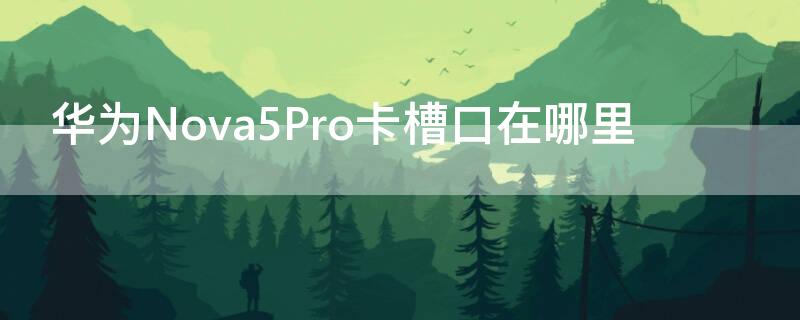 华为Nova5Pro卡槽口在哪里 华为nova5pro的卡槽在哪里