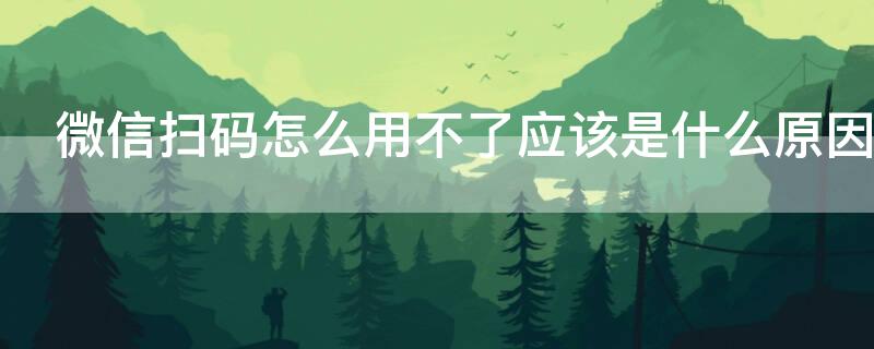 微信扫码怎么用不了应该是什么原因（为什么微信扫码用不了）