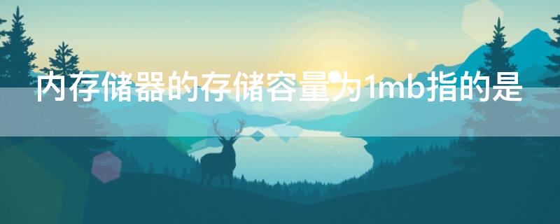 内存储器的存储容量为1mb指的是（内存储器的容量为1kb）