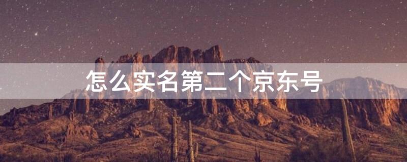 怎么实名第二个京东号（怎么实名第二个京东号登录）