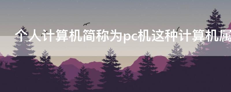 个人计算机简称为pc机这种计算机属于 个人计算机简称为pc机这种计算机属于第几代