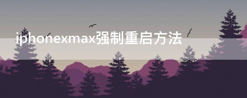 iPhonexmax强制重启方法 iphonexmax如何强制开机?