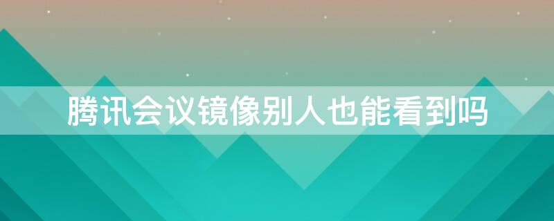腾讯会议镜像别人也能看到吗 腾讯会议镜像别人也能看到吗手机