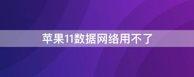 iPhone11数据网络用不了（iphone11网络不可用怎么回事）