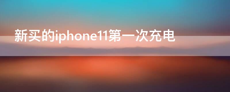 新买的iPhone11第一次充电（新买的苹果11第一次充电）