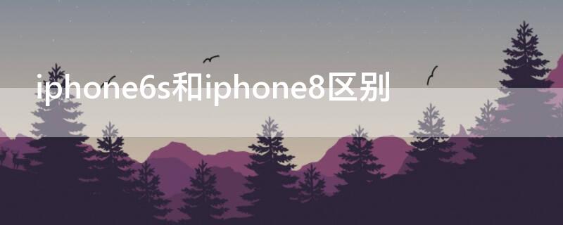 iPhone6s和iPhone8区别（iphone6s跟iphone8区别）