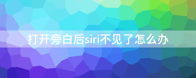 打开旁白后siri不见了怎么办（苹果打开旁白模式siri打不开怎么办）