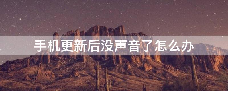 手机更新后没声音了怎么办 手机更新后没声音了怎么办呢