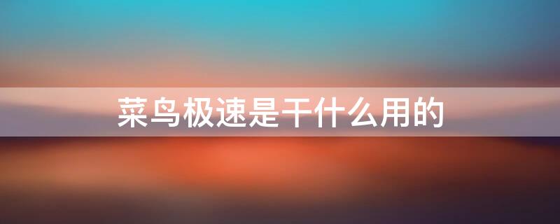 菜鸟极速是干什么用的（菜鸟极速官方）