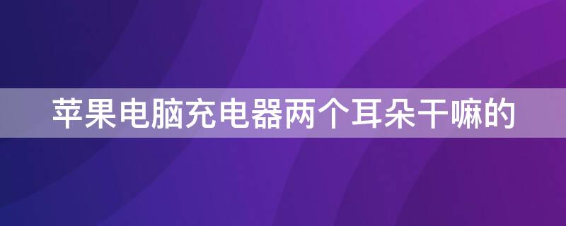 iPhone电脑充电器两个耳朵干嘛的