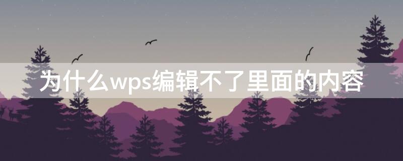 为什么wps编辑不了里面的内容（wps office编辑不了）
