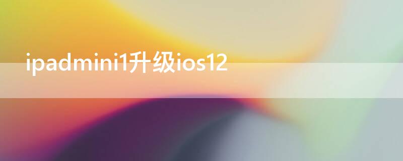 ipadmini1升级ios12（ipadmini1升级到ios12）