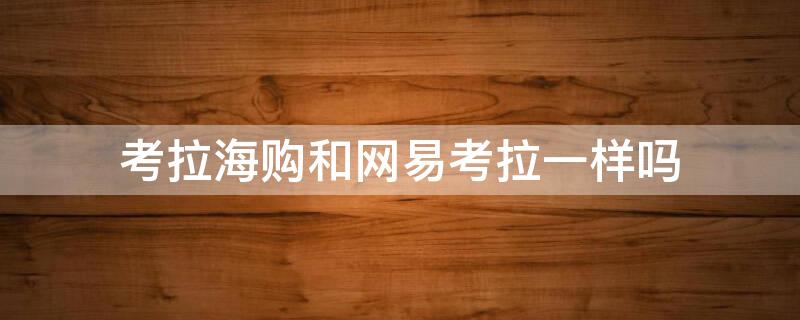考拉海购和网易考拉一样吗（考拉海购和网易考拉一样吗）