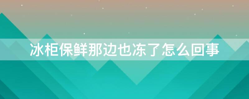冰柜保鲜那边也冻了怎么回事 冰柜为什么保鲜这边还上冻那