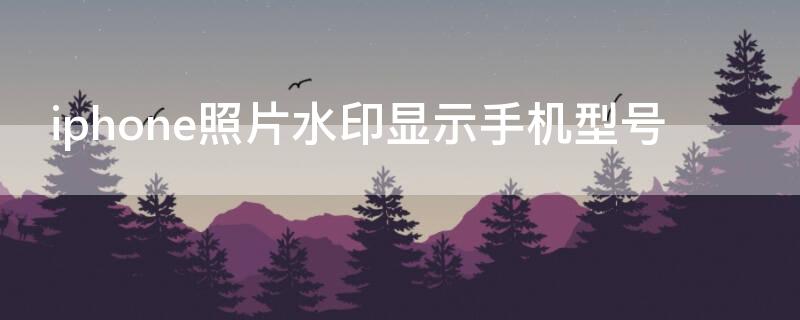 iPhone照片水印显示手机型号（苹果照片型号水印）