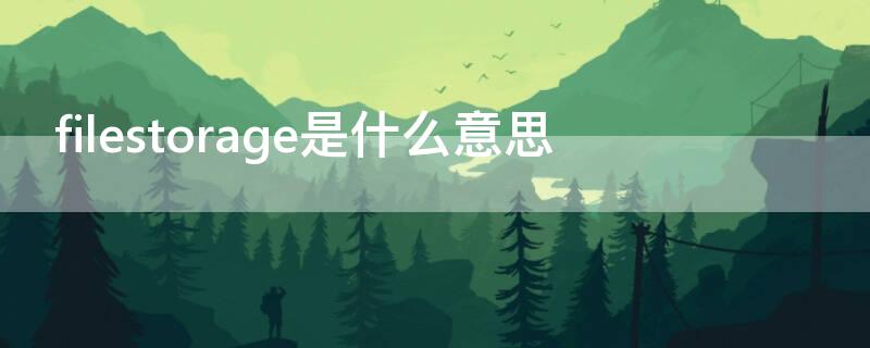 filestorage是什么意思 files是什么意思?