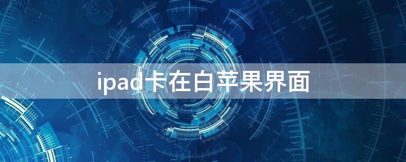 ipad卡在白iPhone界面（ipad卡在白屏）