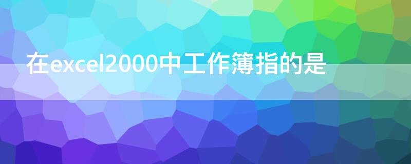 在excel2000中工作簿指的是 在excel中,工作簿是指(