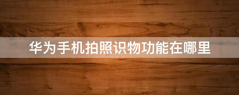 华为手机拍照识物功能在哪里（华为拍照识物在哪开启）