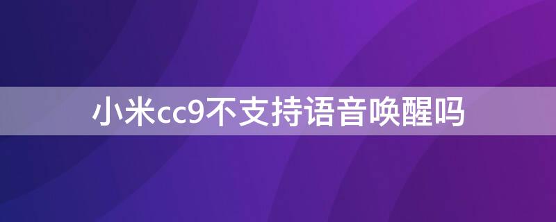 小米cc9不支持语音唤醒吗（小米cc9不支持语音唤醒吗）