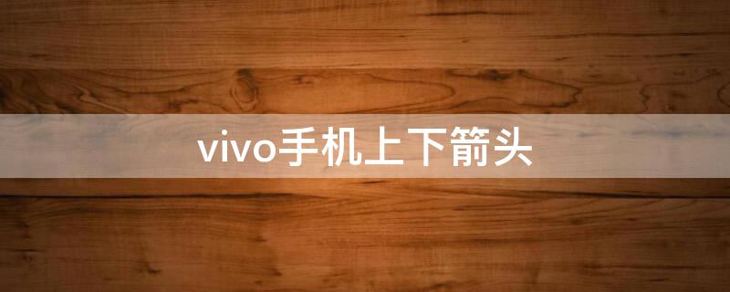 vivo手机上下箭头（vivo手机上下箭头图标是什么意思）