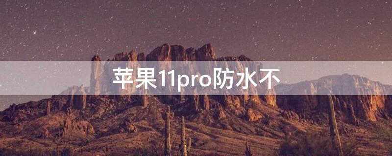 iPhone11pro防水不（iphine11防水不）