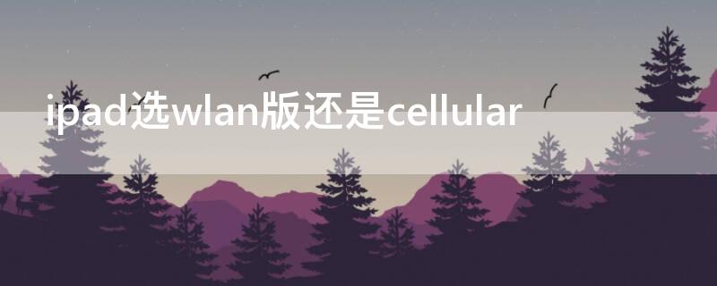 ipad选wlan版还是cellular ipad买wlan版还是wifi