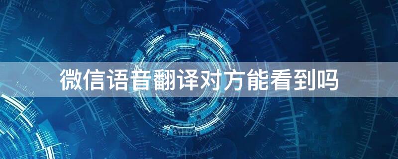 微信语音翻译对方能看到吗（微信语音翻译不准确怎么办）