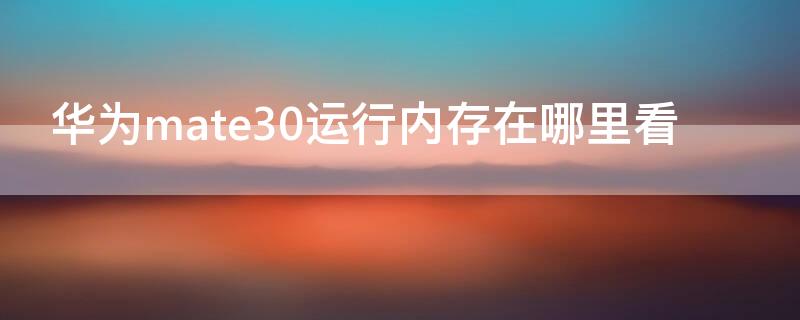 华为mate30运行内存在哪里看（华为mate30怎么看运存）