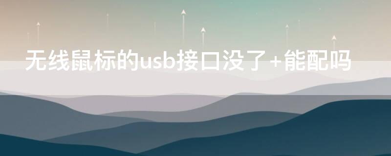 无线鼠标的usb接口没了（无线鼠标的usb接口没了拔不下来）
