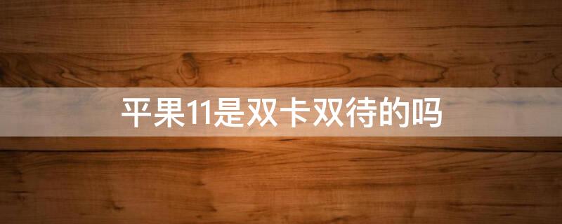 平果11是双卡双待的吗（平果11是双卡双待的吗手机）