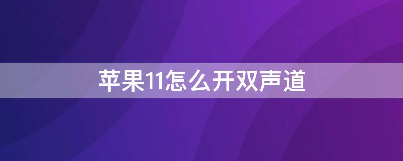 iPhone11怎么开双声道 iphone 11双声道