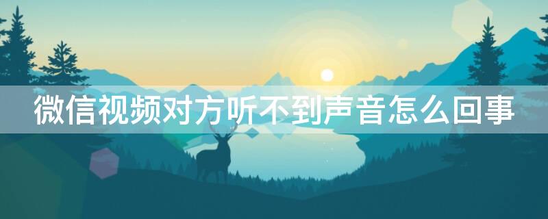 微信视频对方听不到声音怎么回事（微信视频对方听不到声音怎么回事苹果）