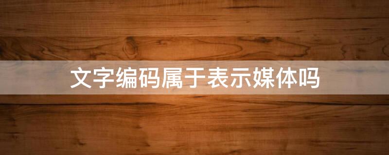 文字编码属于表示媒体吗 汉字编码属于什么媒体