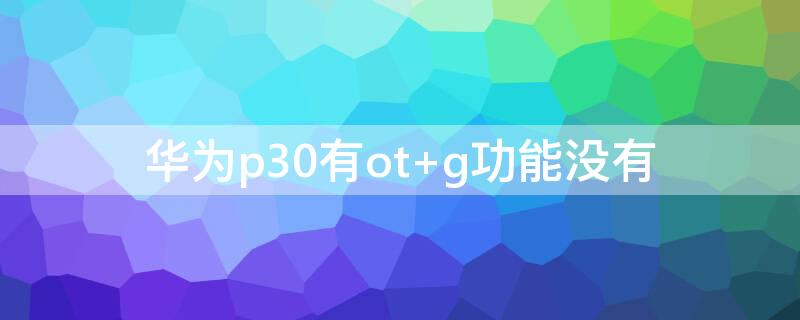 华为p30有ot（华为p30有OTG功能吗）