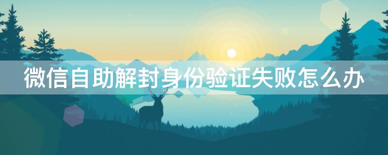 微信自助解封身份验证失败怎么办（微信自助解封为什么验证失败）