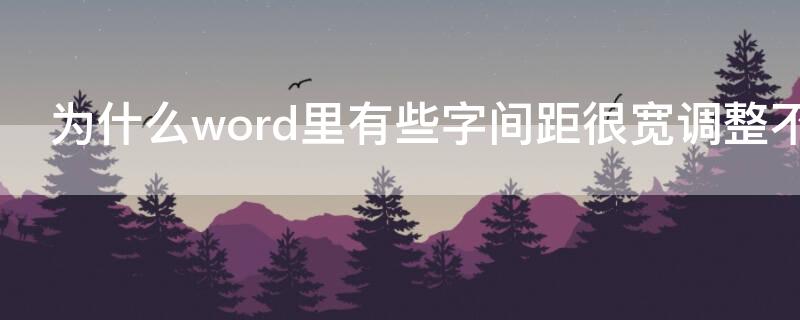为什么word里有些字间距很宽调整不了（为什么word里有些字间距很宽调整不了字体）