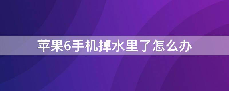 iPhone6手机掉水里了怎么办（苹果6s手机掉水里了,怎么办）