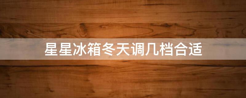 星星冰箱冬天调几档合适（星星冰柜冬天调到什么档位）