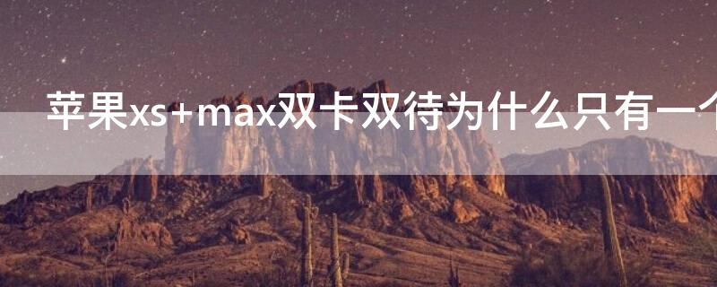 iPhonexs max双卡双待为什么只有一个能打进