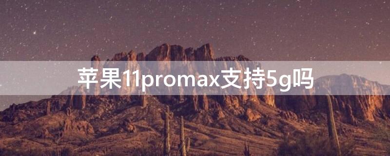 iPhone11promax支持5g吗 iphone11promax支持5g么