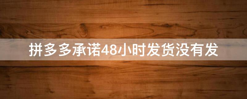 拼多多承诺48小时发货没有发 拼多多承诺48小时发货没有发怎么办