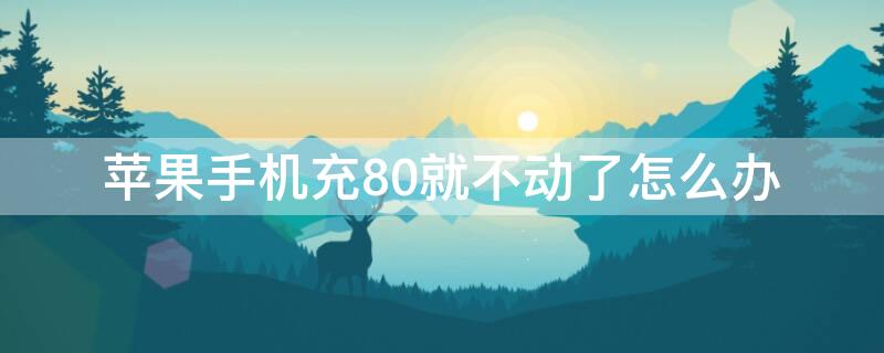 iPhone手机充80就不动了怎么办 iphone充到80就不动了怎么解决
