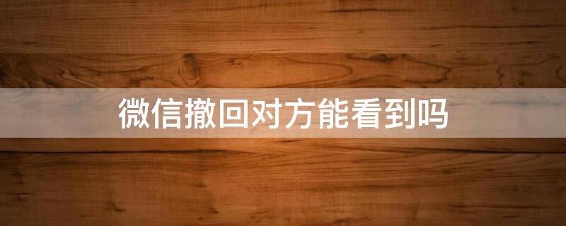 微信撤回对方能看到吗 微信撤回对方能看到吗知乎